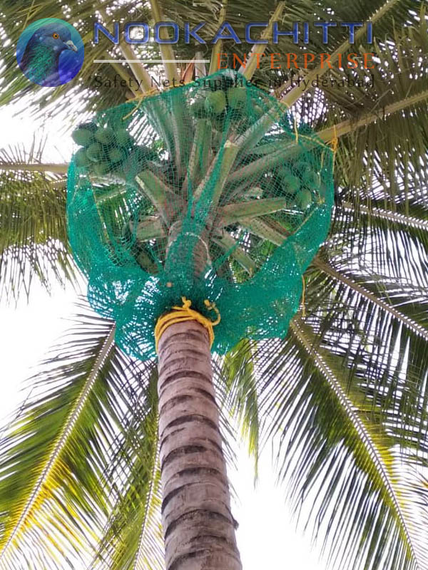 Pigeon Safety Nets In Hyderabad
