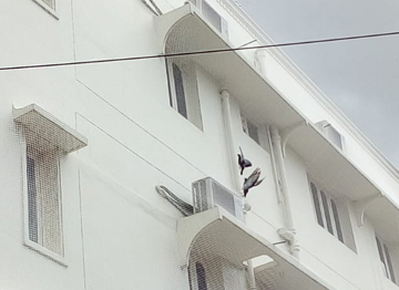 Pigeon Safety Nets In Hyderabad
