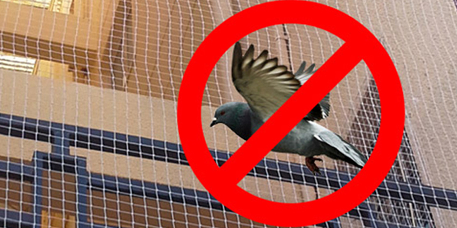 Pigeon Safety Nets In Lb-Nagar